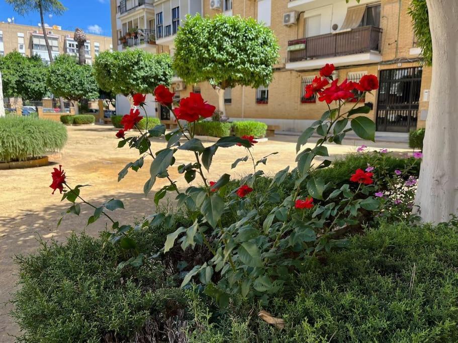 Triana Family Suites Σεβίλλη Εξωτερικό φωτογραφία